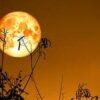A full moon with the sun setting behind it.