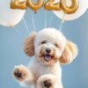Dog with balloons spelling 2026 above.