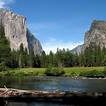 A river flowing through the middle of a forest.