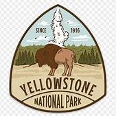 A patch of the yellowstone national park.