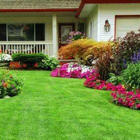 A house with a lawn and flowers in the yard.